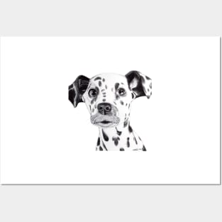 Dalmatian Posters and Art